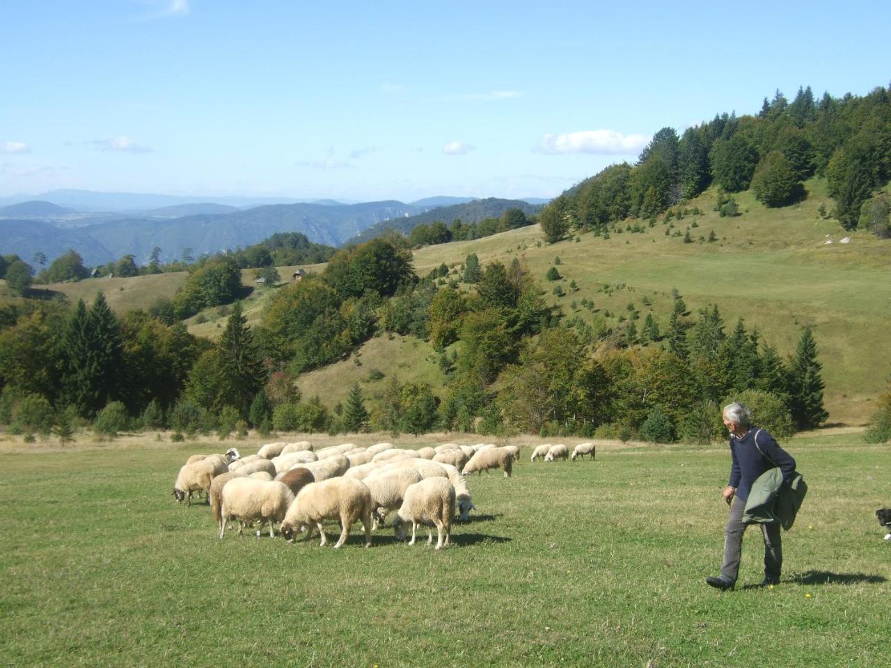 Planinski Mir Zaovine Exterior foto
